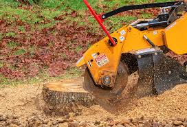 Best Storm Damage Tree Cleanup  in Ridgetop, TN