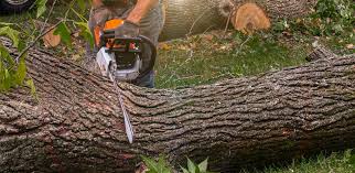Lawn Grading and Leveling in Ridgetop, TN