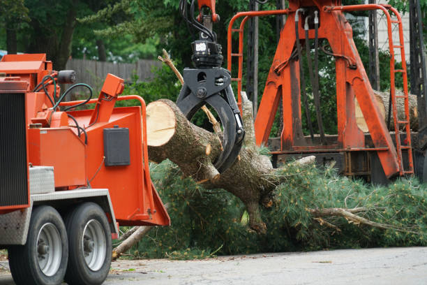 Best Organic Lawn Care Solutions  in Ridgetop, TN